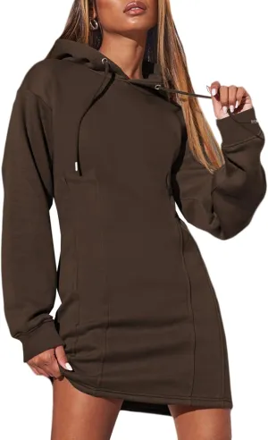 AlvaQ Womens Dresses Fall Winter 2024 Casual Long Sleeve Drawstring Pleated Hoodies Sweatshirt Pullover Tunic Mini Dress